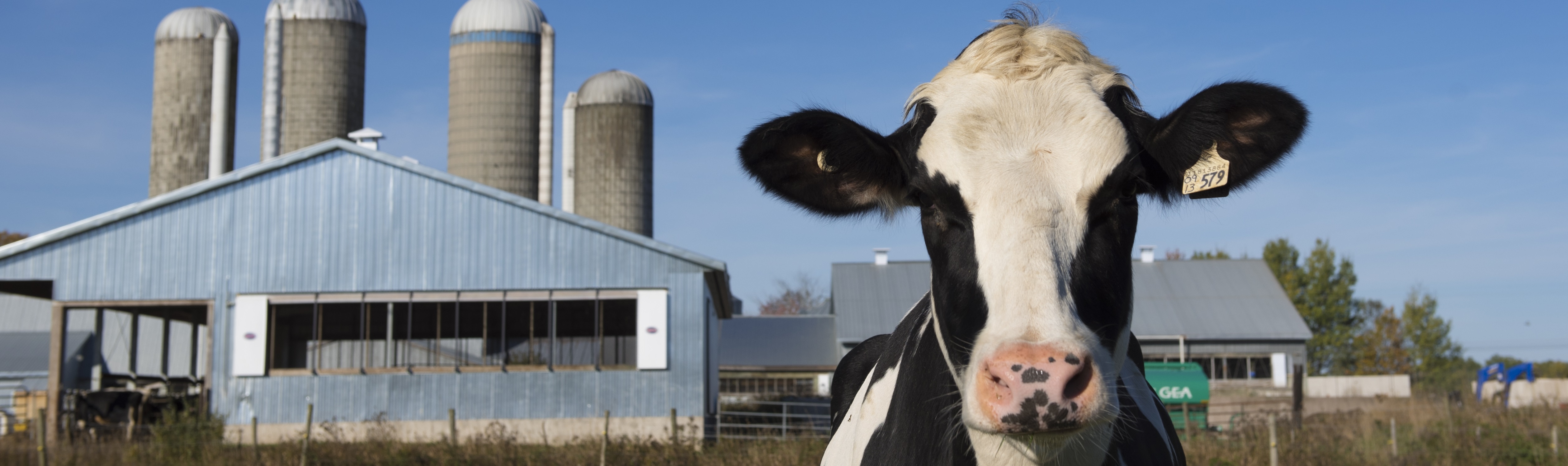 resources-links-dairy-farmers-of-nova-scotia