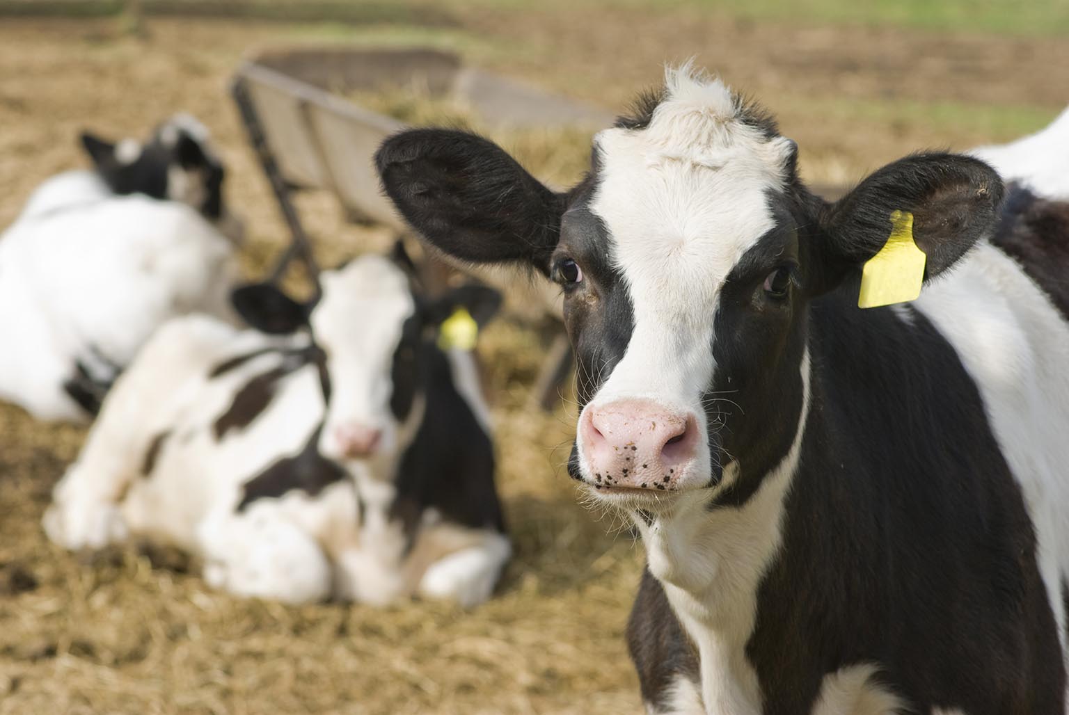 Milk Marketing Reports | Dairy Farmers of Nova Scotia